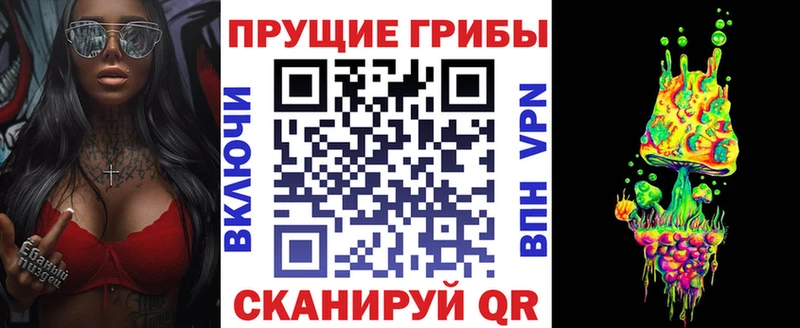 Галлюциногенные грибы Psilocybine cubensis  Ачинск 