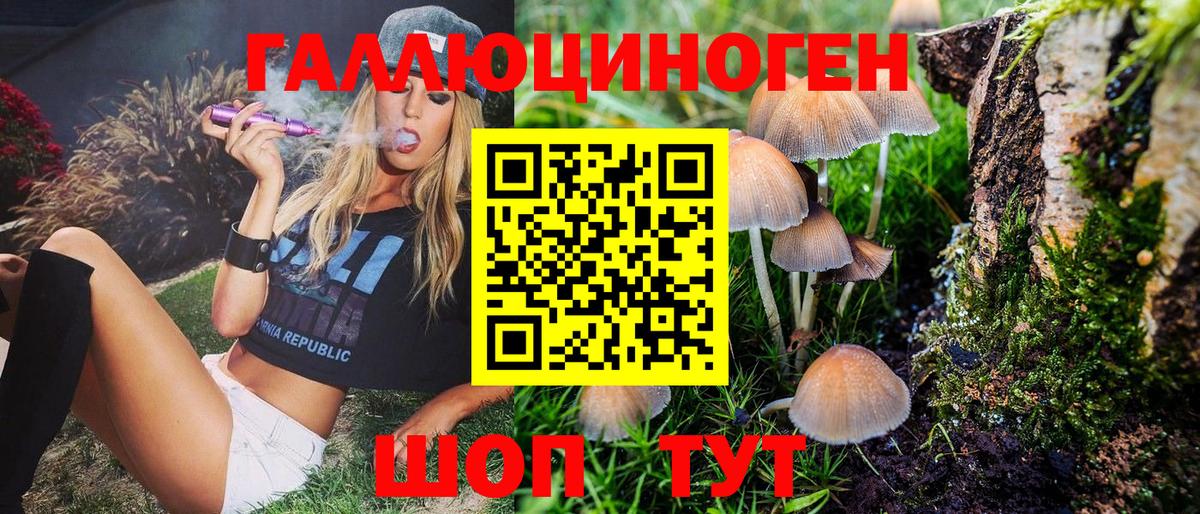 купить закладку  Ачинск  Галлюциногенные грибы Psilocybine cubensis 