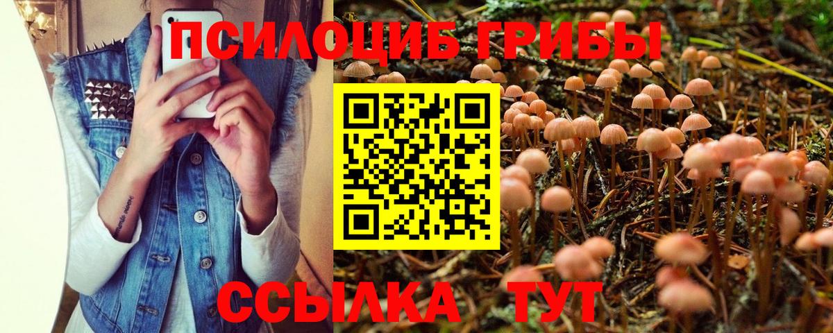 Ачинск  Псилоцибиновые грибы мицелий  Вход с VPN  Галлюциногенные грибы мицелий 