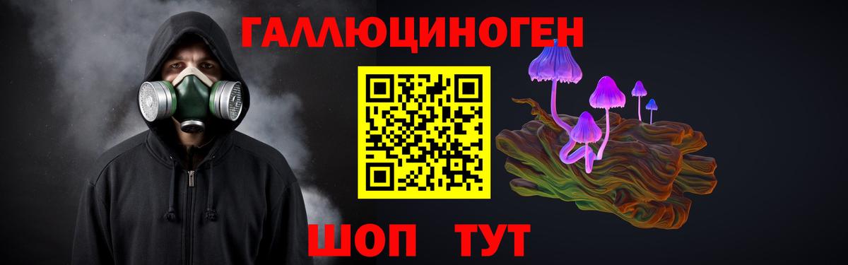 Псилоцибиновые грибы прущие грибы Ачинск